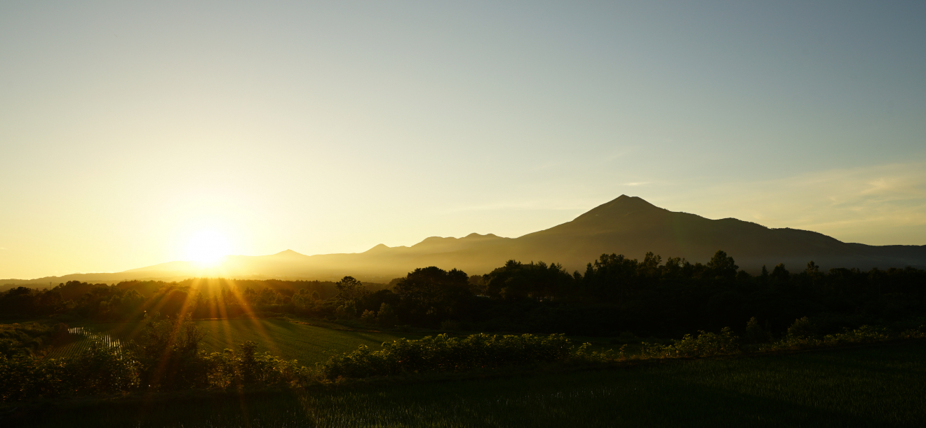 annupri7月夕日