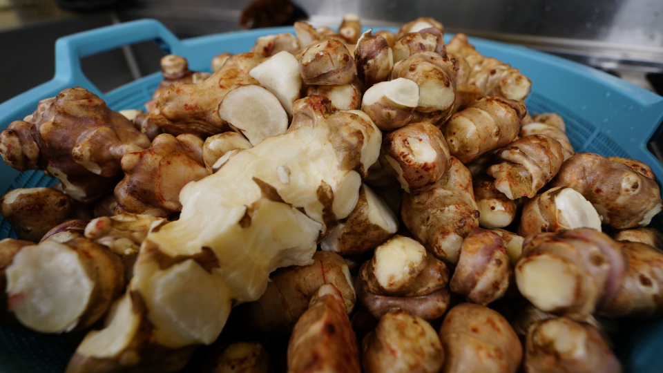 Jerusalem artichoke