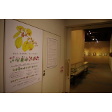 鮫島先生の植物画展