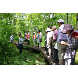 Plant and industrial heritage tour "Plant observation around Arishima Takeo Memorial Museum and walking in Arishima irrigation ditch"