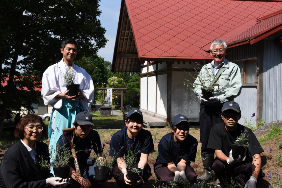 ラベンダーを植えました