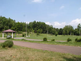 曽我森林公園（東啓園）