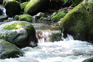 水環境の保全